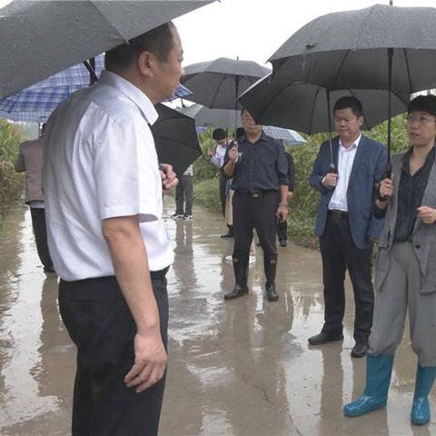 第393页