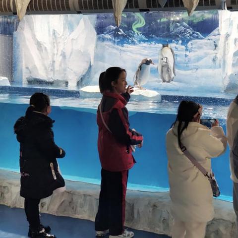 永嘉最新新闻摘要，今日政治经济文化等多领域动态概览