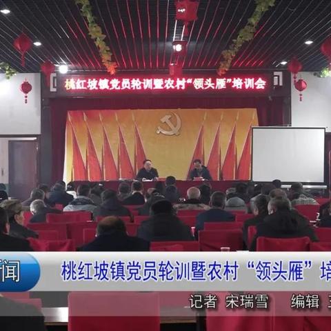 一带一路·绿色先锋 第28页