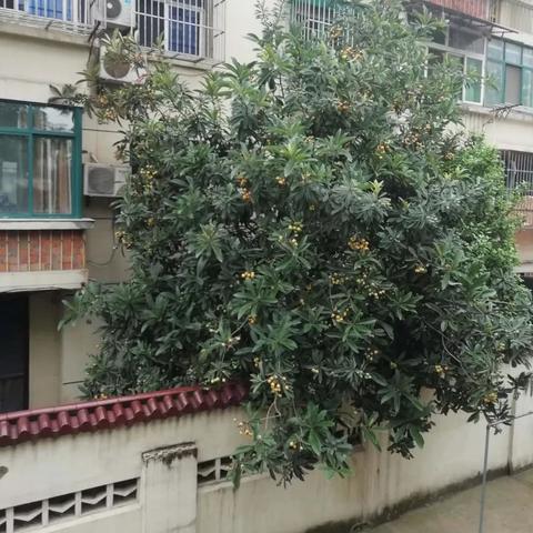 绿色中国·责任同行 第26页