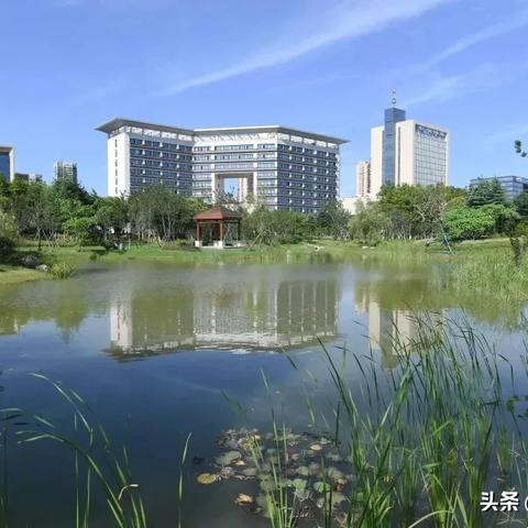 红色热土守护计划 第19页