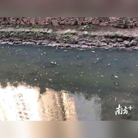 少年中国·环保课堂 第13页